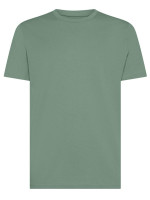 Eucalyptus