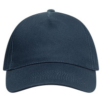 Navy (PMS 533c) / navy