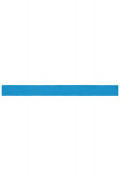 Atlantic (ca. Pantone 307C)